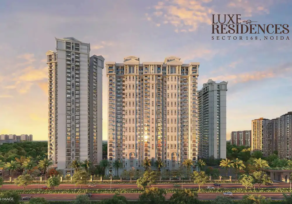 Nimbus The Arista Luxe Highlight